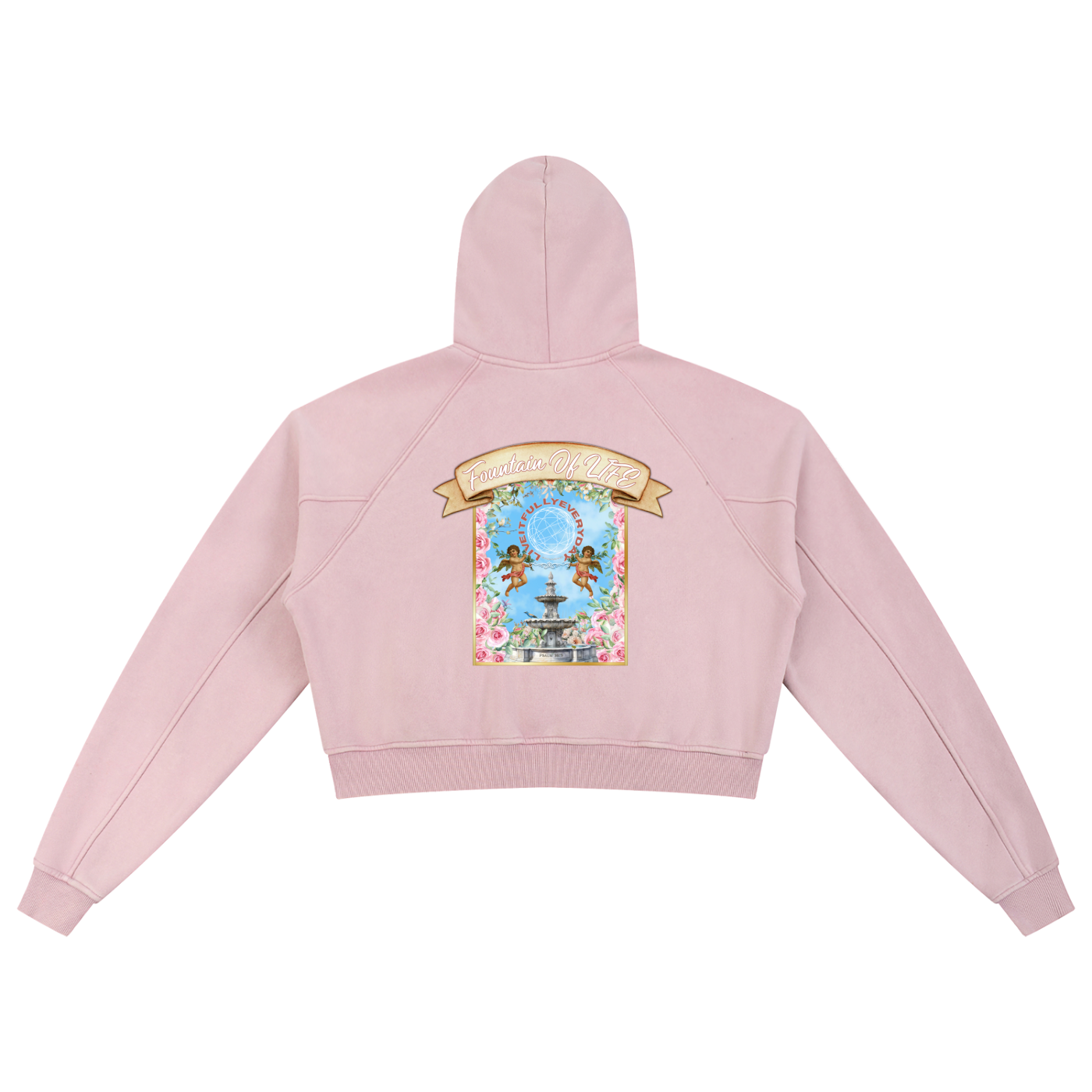 ‘Fountain Of LIFE’ Psalm 36:9 Snow Washed Cropped Hoodie