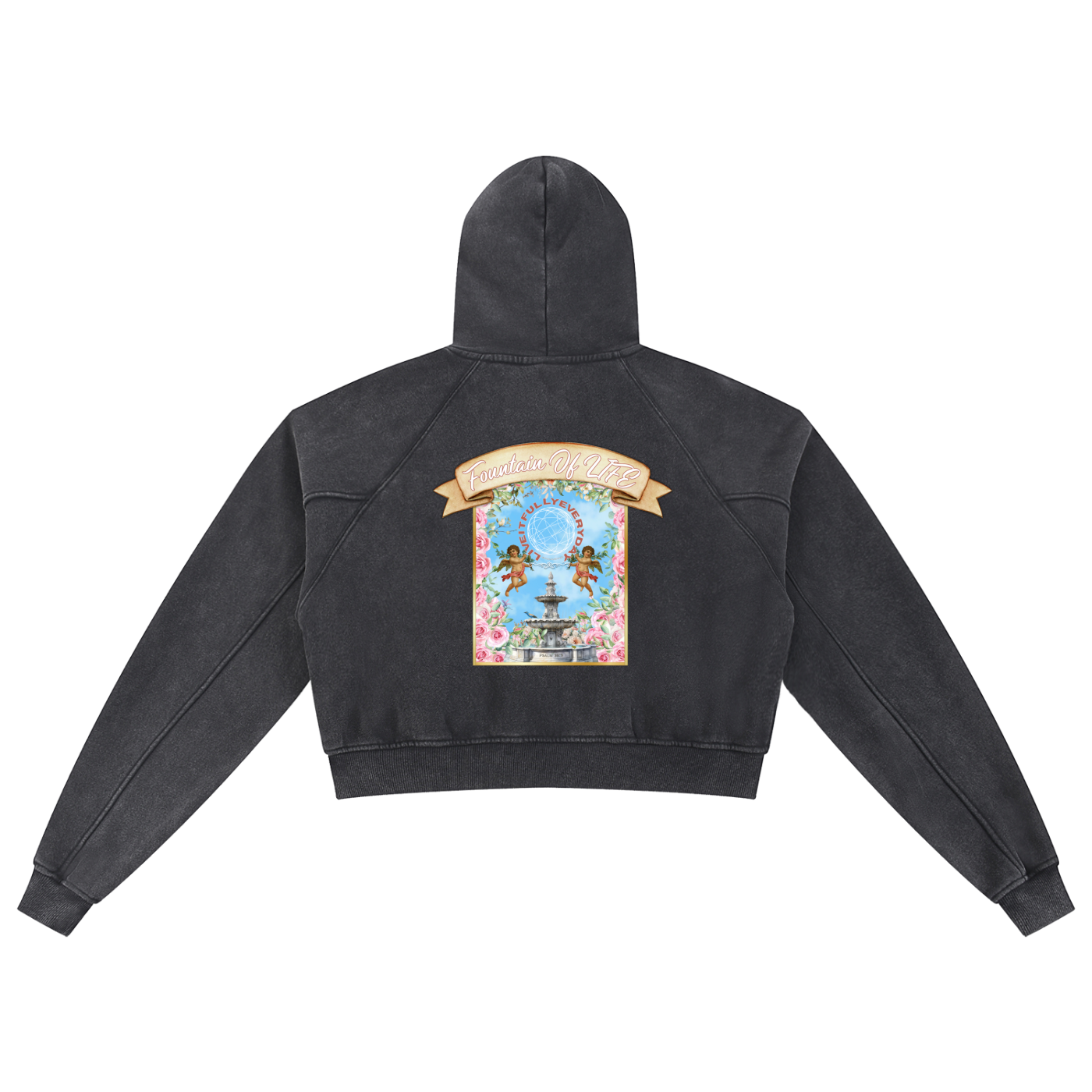 ‘Fountain Of LIFE’ Psalm 36:9 Snow Washed Cropped Hoodie