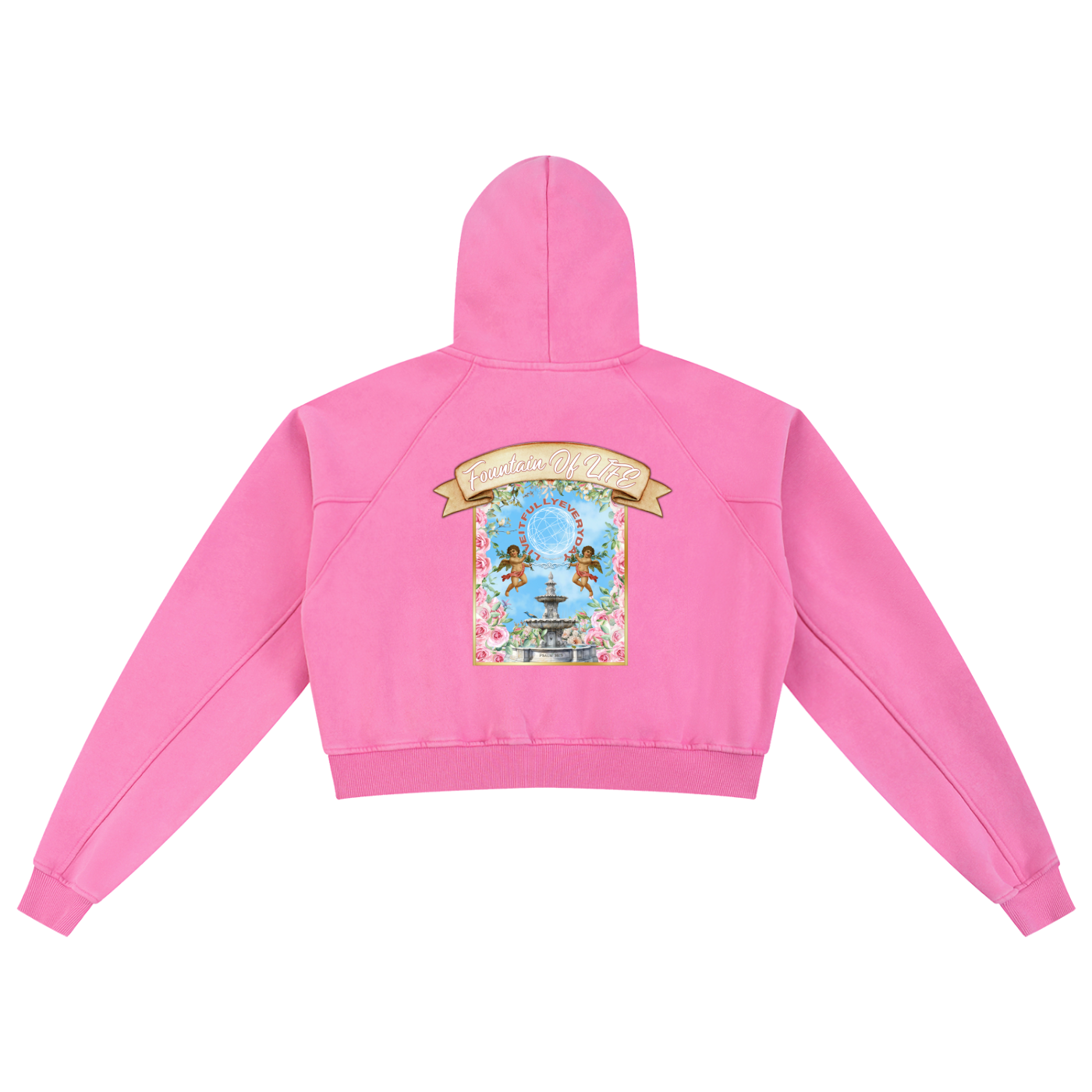 ‘Fountain Of LIFE’ Psalm 36:9 Snow Washed Cropped Hoodie
