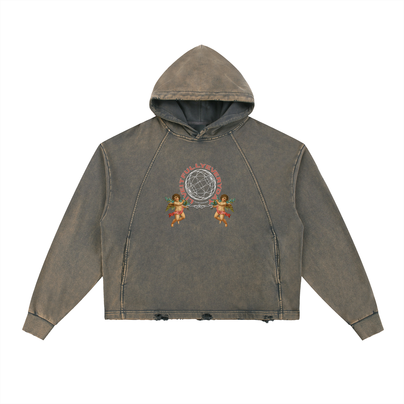‘Fountain Of LIFE’ Psalm 36:9 Vintage Washed Frayed-Hem Hoodie