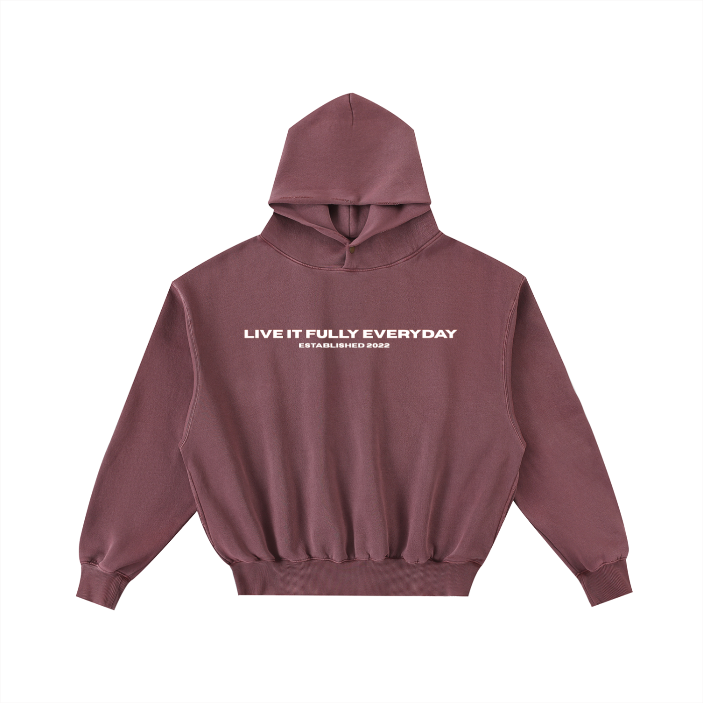 ‘Fountain Of LIFE’ Psalm 36:9 Frayed Enzyme Washed Fleece Hoodie