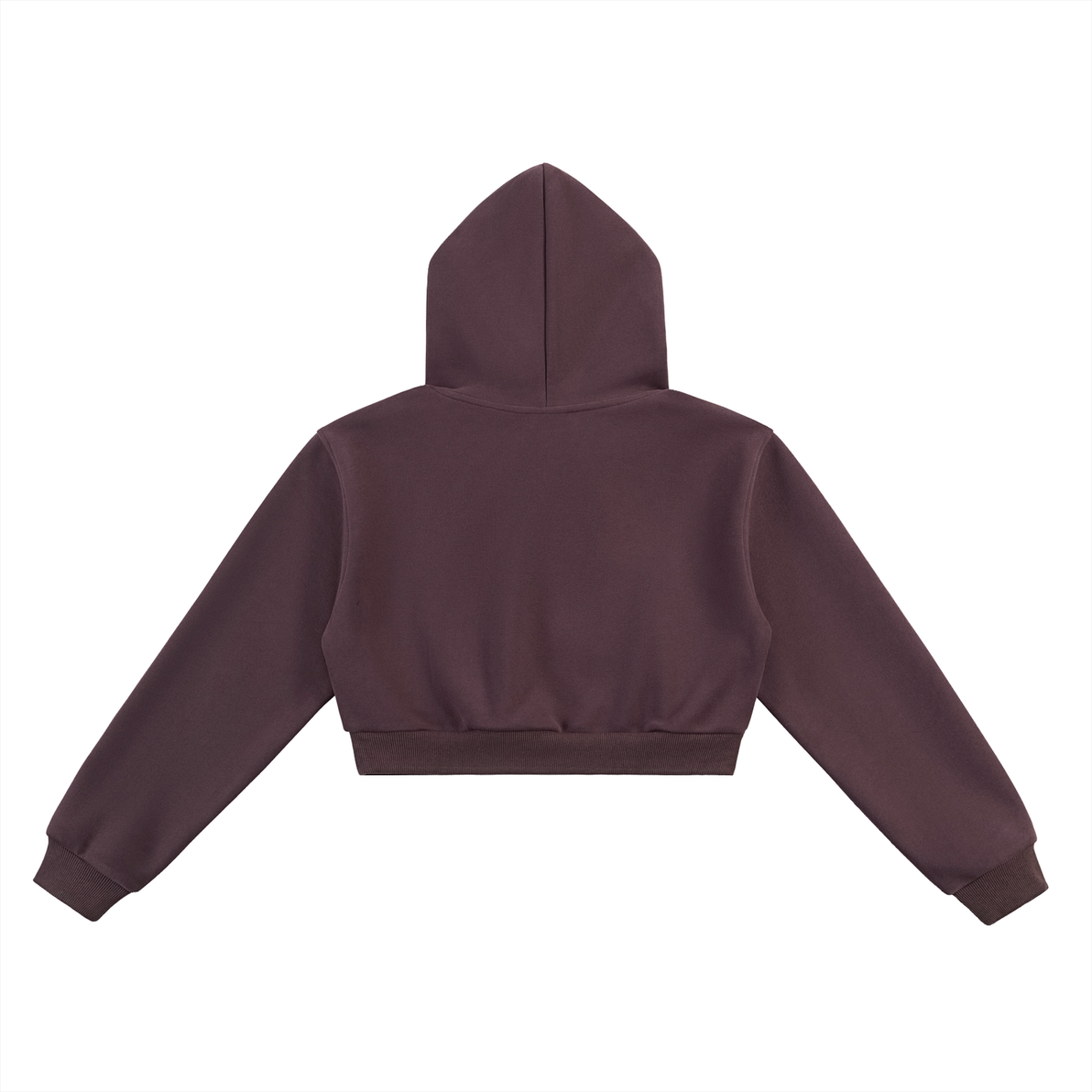 ‘Fountain Of LIFE’ Psalm 36:9 Essential Cropped Hoodie